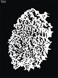 šablona Texture