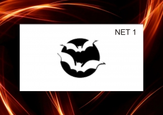 samolepící šablona NET 1