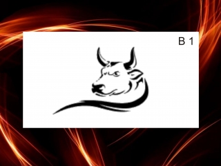 samolepící šablona B 1