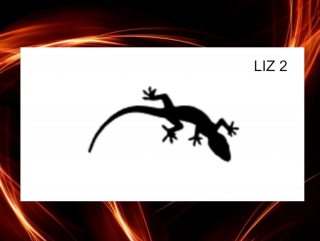samolepící šablona LIZ 2